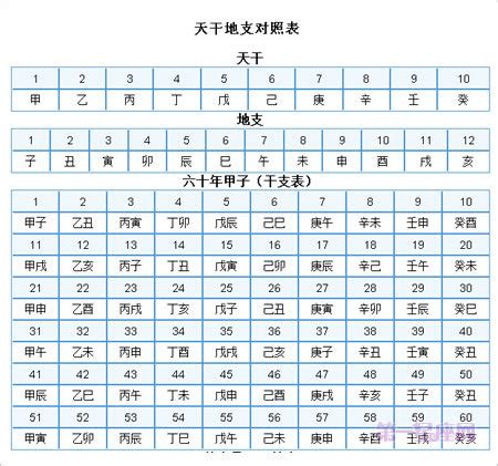 查天干地支|天干地支